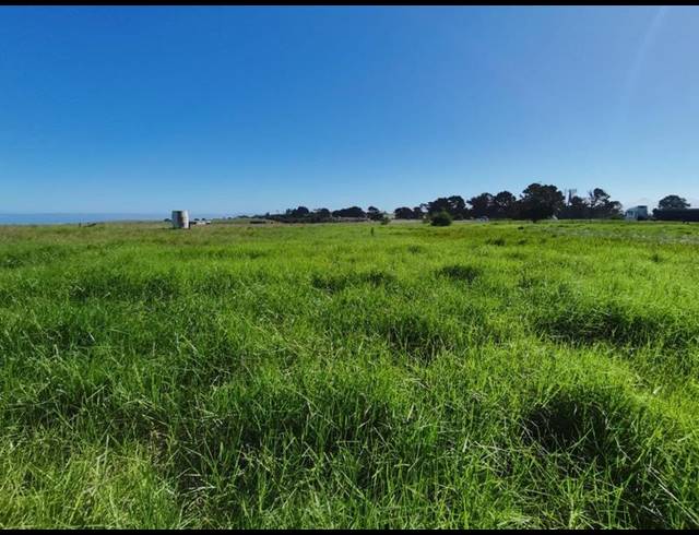 LAND FOR SALE IN GEORGE RURAL